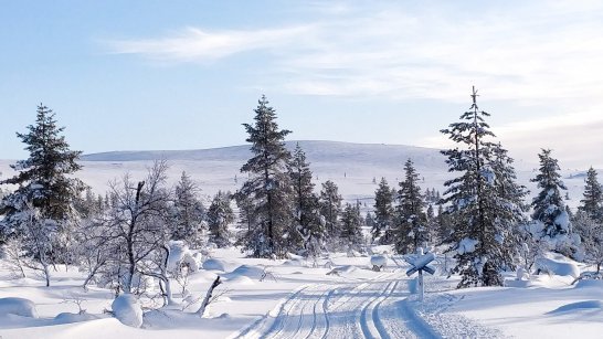 Ulkoilulähettiläiden hiihtotärpit