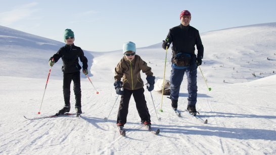 Paras hiihtokausi on vasta edessä